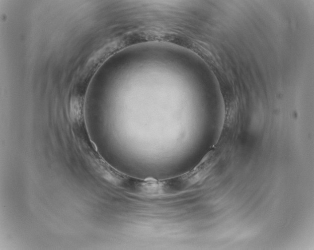 X0000088840335200706071426