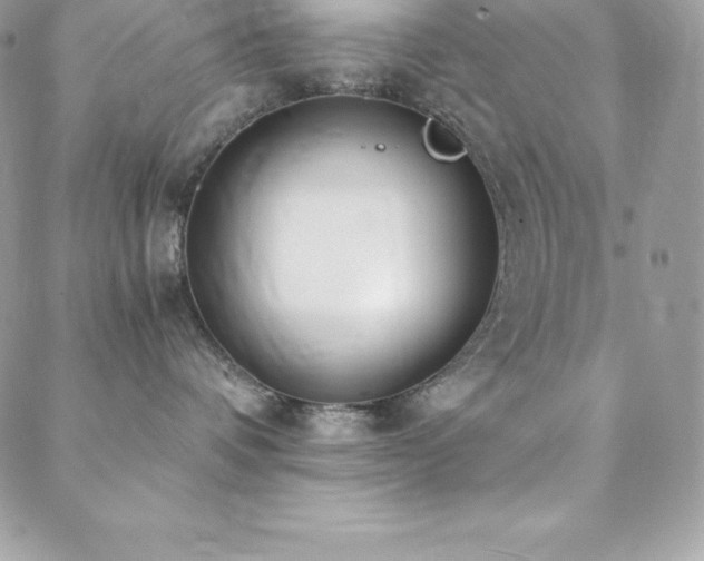 X0000088840336200706071426