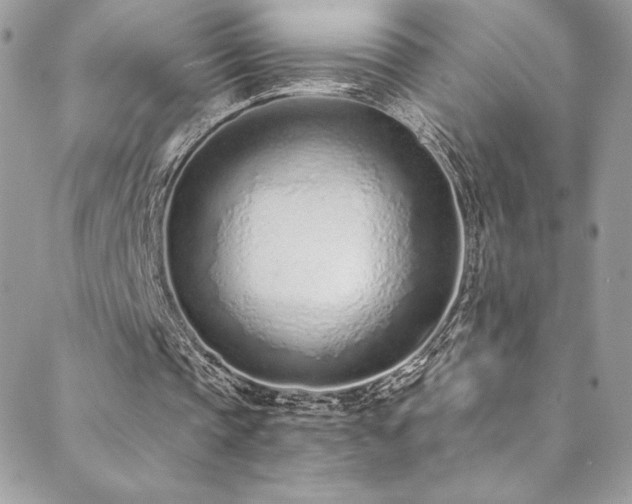 X0000088840337200706071425