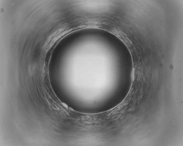 X0000088840338200706071425