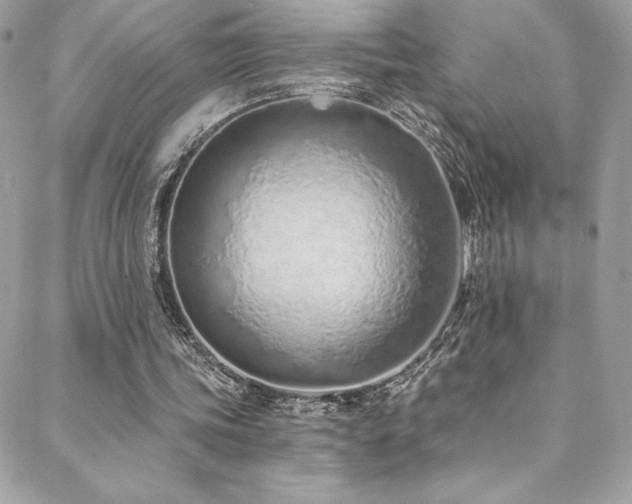 X0000088840339200706071425