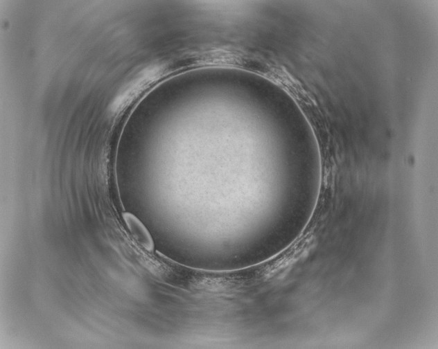 X0000088840341200706071425