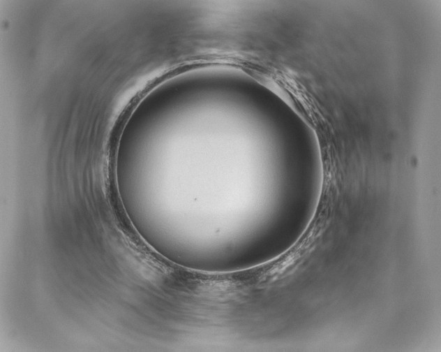 X0000088840342200706071425