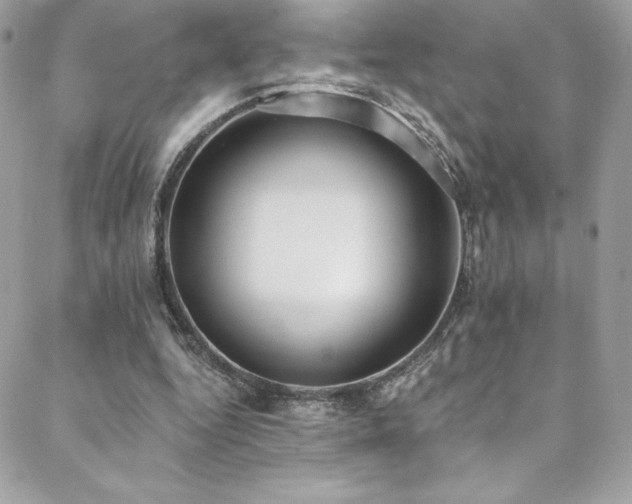 X0000088840344200706071425