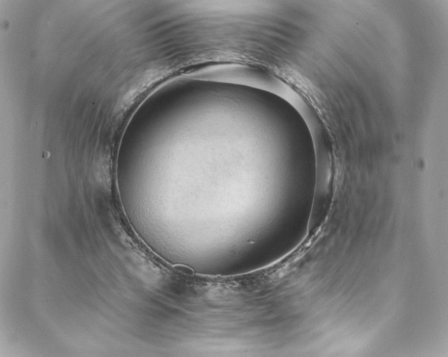 X0000088840345200706071425