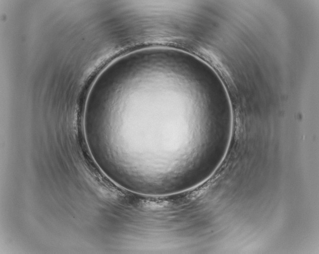 X0000088840346200706071425