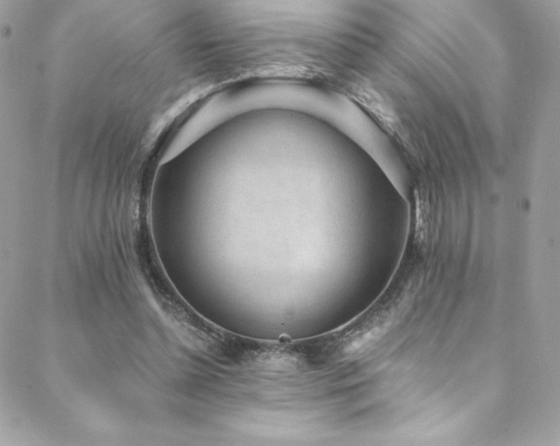 X0000088840348200706071425