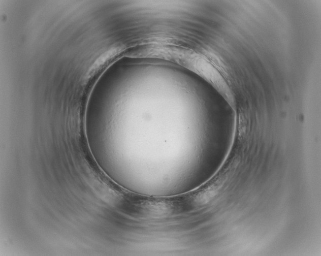 X0000088840349200706071425