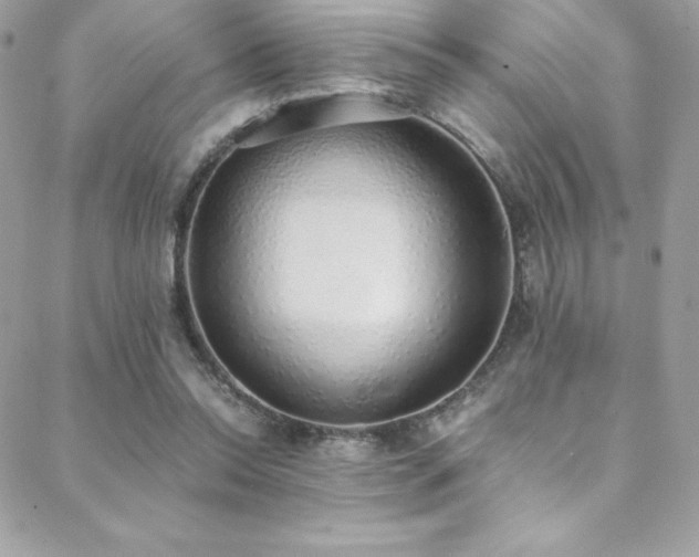 X0000088840350200706071425