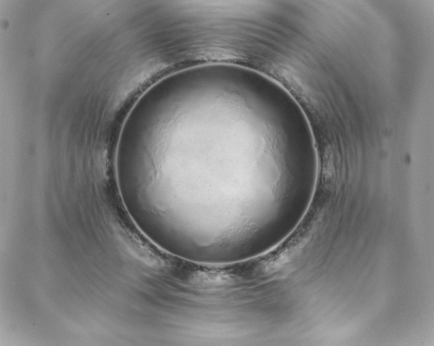 X0000088840351200706071426