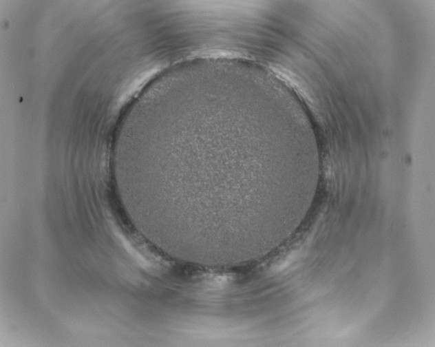 X0000088840352200706071426