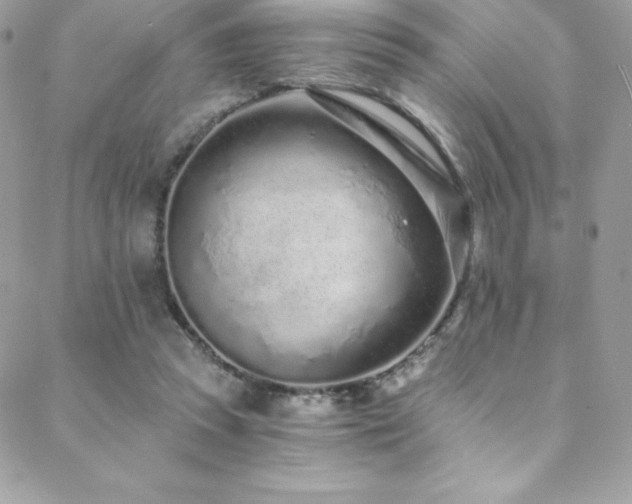 X0000088840353200706071426