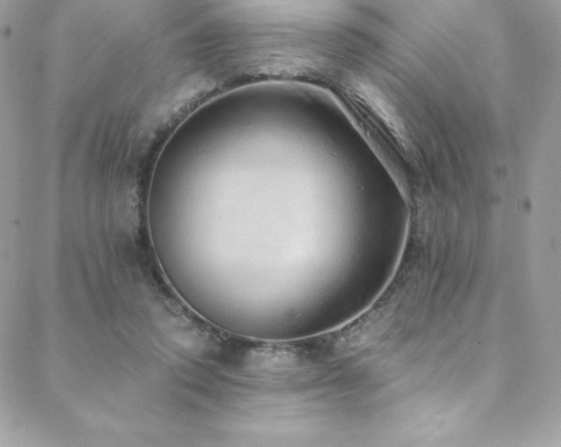 X0000088840354200706071426