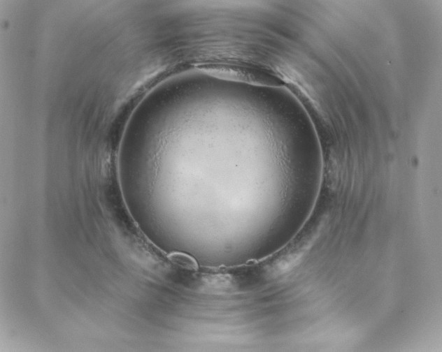 X0000088840355200706071426