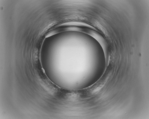 X0000088840356200706071426