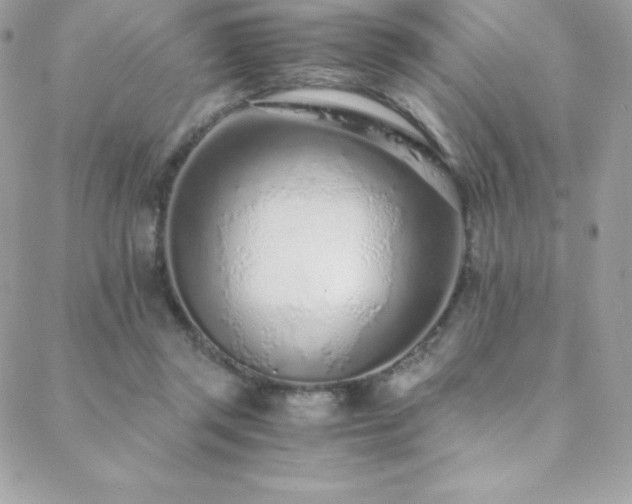 X0000088840357200706071426