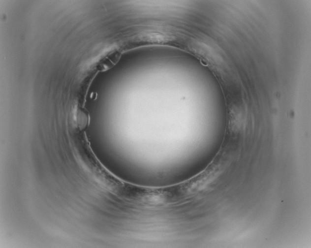 X0000088840358200706071426