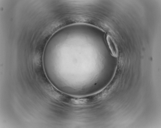 X0000088840359200706071426