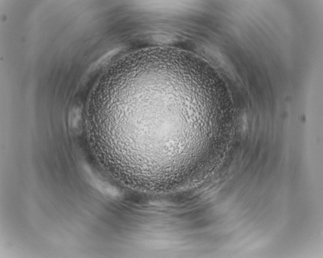 X0000088840360200706071426