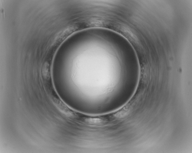 X0000088840361200706071426