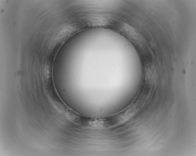 X0000088840362200706071426