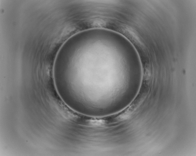 X0000088840363200706071426