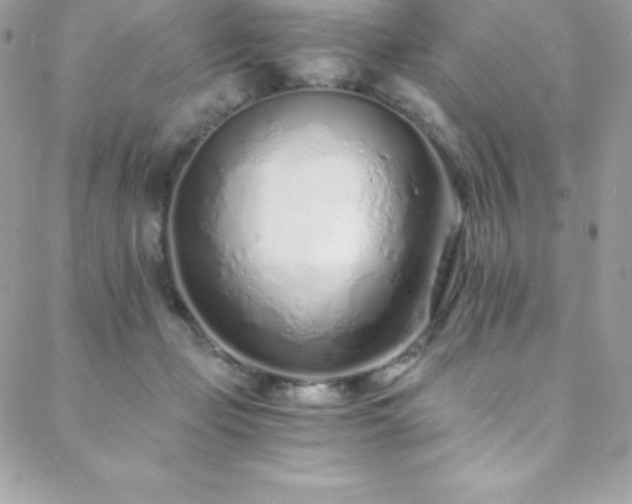 X0000088840365200706071426