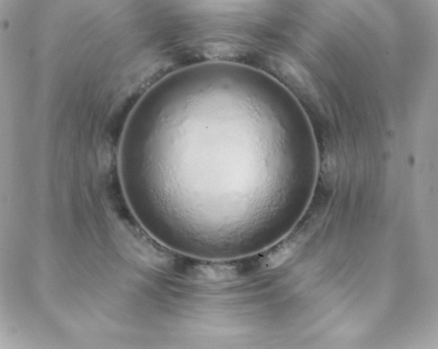 X0000088840367200706071426