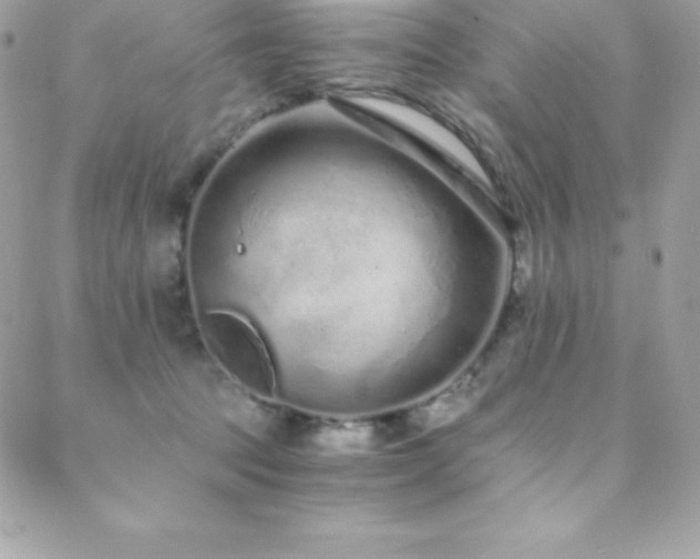 X0000088840369200706071426