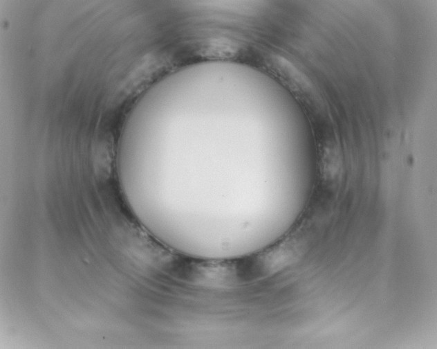 X0000088840370200706071426