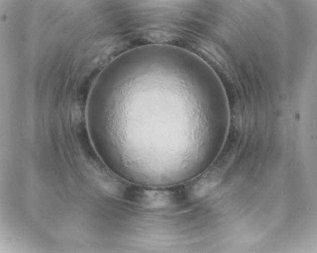 X0000088840371200706071426