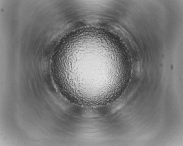 X0000088840372200706071426