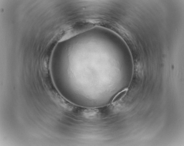 X0000088840373200706071426