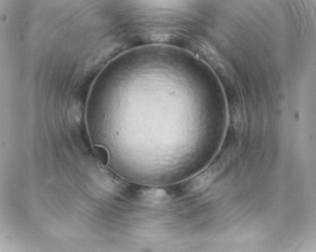 X0000088840374200706071426