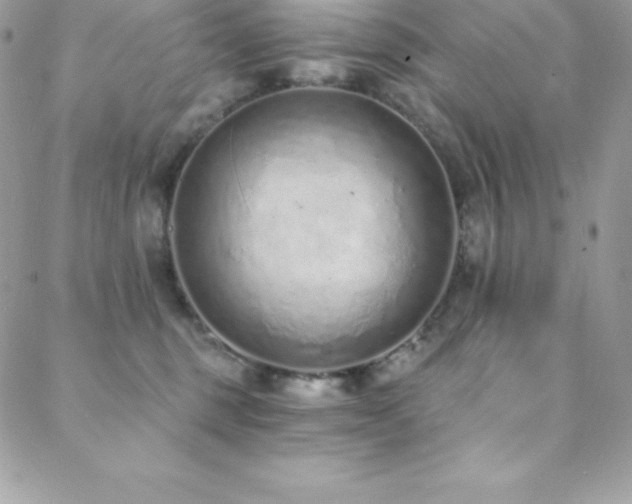 X0000088840375200706071426