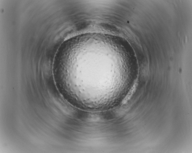 X0000088840376200706071426