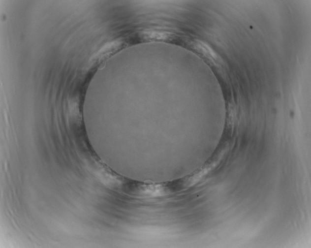 X0000088840377200706071426