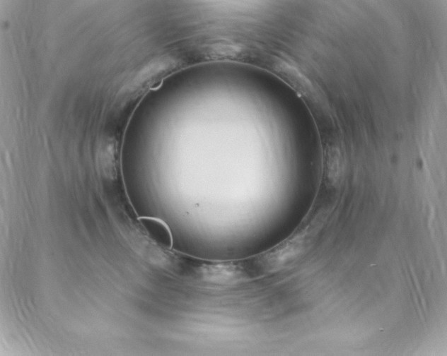 X0000088840378200706071426