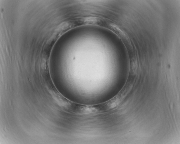 X0000088840379200706071426