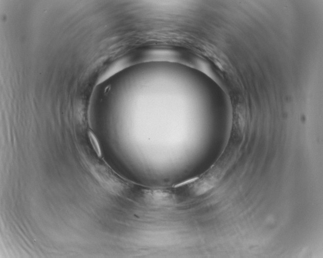 X0000088840380200706071426