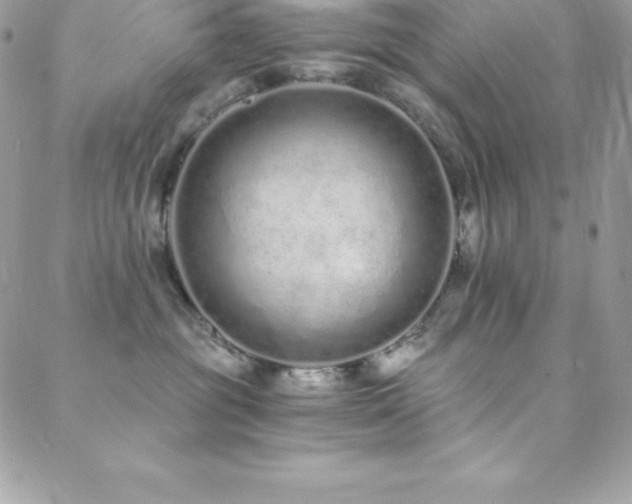 X0000088840381200706071426