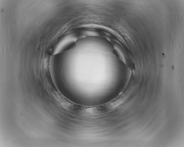 X0000088840382200706071426