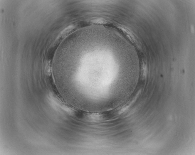 X0000088840383200706071426