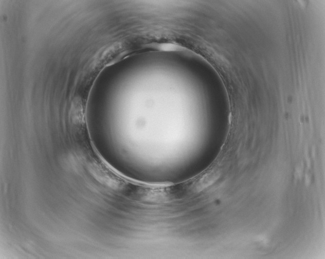 X0000088840384200706071426