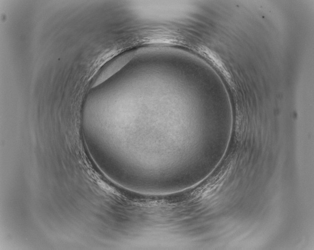 X0000088840385200706071425