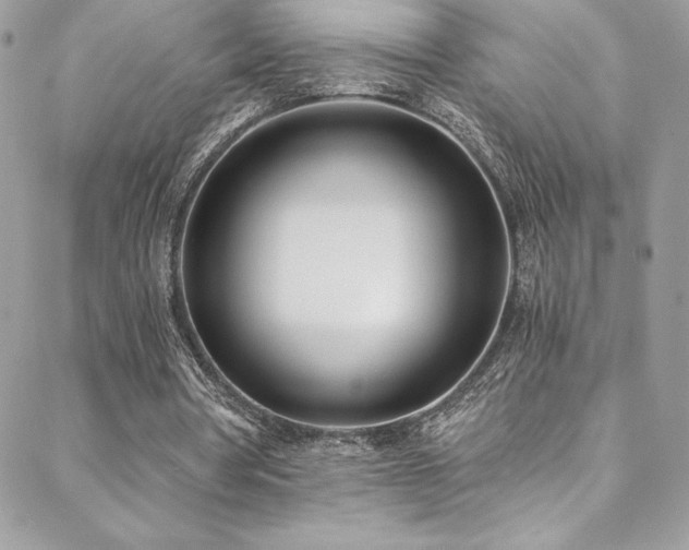 X0000088840386200706071425