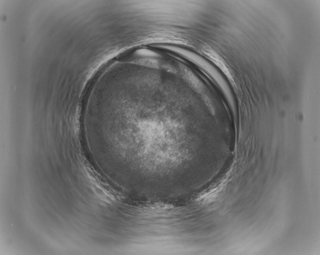 X0000088840387200706071425