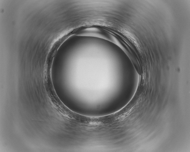 X0000088840388200706071425