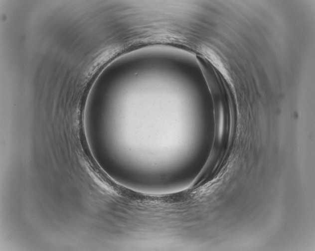 X0000088840389200706071425