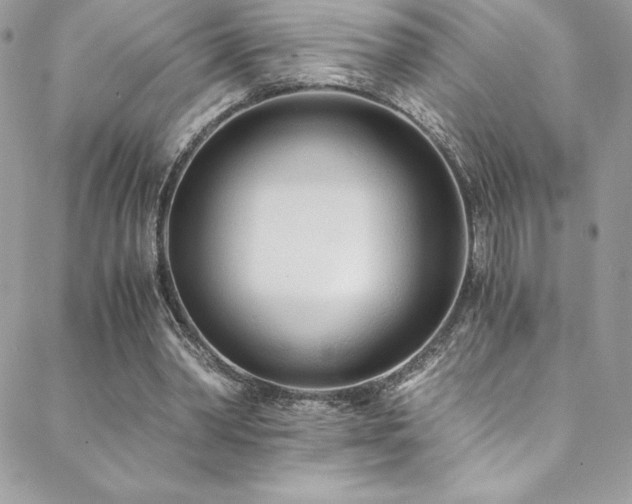 X0000088840390200706071425